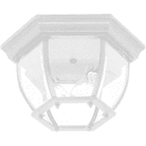 Classico 2 Light White Outdoor Ceiling Light (AC8096WH)