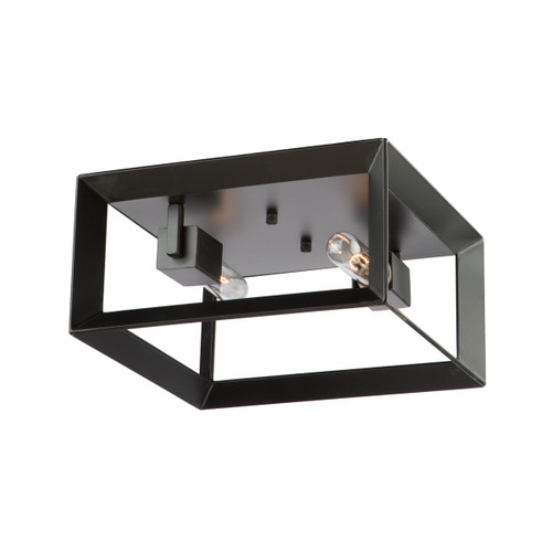 Vineyard 2 Light Matte Black Flush Mount (AC10063)