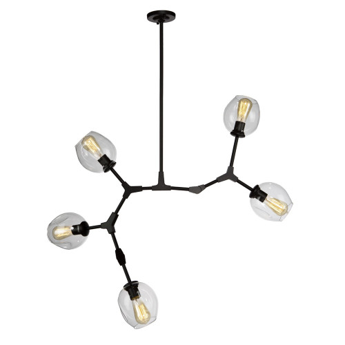 Organic 5 Light Black Chandelier (JA14025BK)