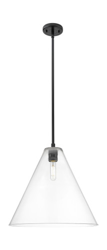 Crown Point - 1 Light - 16 inch - Matte Black - Pendant (434-1S-BK-GBC-162)