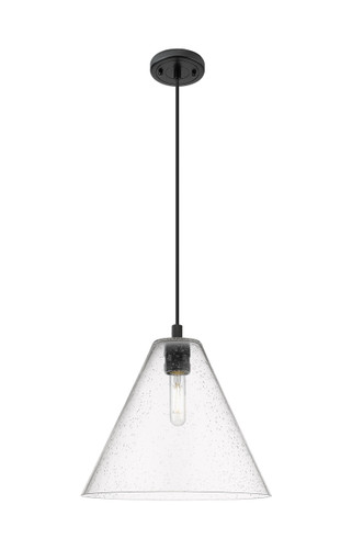 Crown Point - 1 Light - 12 inch - Matte Black - Pendant (434-1P-BK-GBC-124)