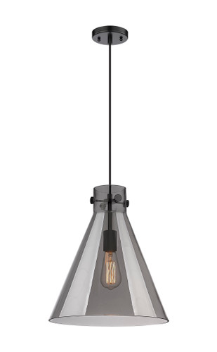 Newton Cone - 1 Light - 14 inch - Matte Black - Cord hung - Pendant (410-1PL-BK-G411-14SM)