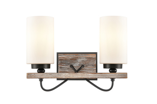 Paladin - 2 Light - 14 inch - Matte Black - Bath Vanity Light (442-2W-BK-W)