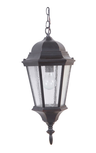 Chadwick 1 Light Outdoor Pendant In Oiled Bronze Gilded (Z2911-OBG)