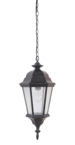 Chadwick 1 Light Outdoor Pendant In Midnight (Z2911-MN)