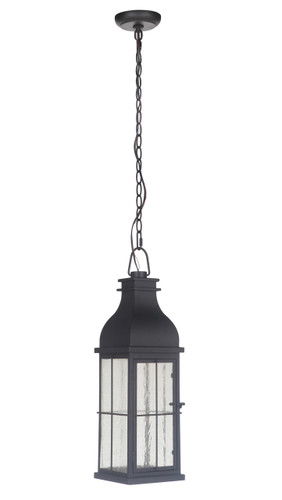 Vincent 1 Light Outdoor Pendant In Midnight (ZA1811-MN-LED)