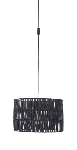 1 Light Pendant In Flat Black (SW2007-FB)