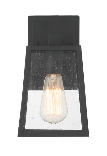 Dunn 1 Light Small Outdoor Wall Lantern in Textured Black (ZA4304-TB)