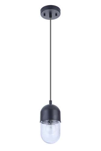1 Light Mini Pendant In Flat Black (55091-FB)