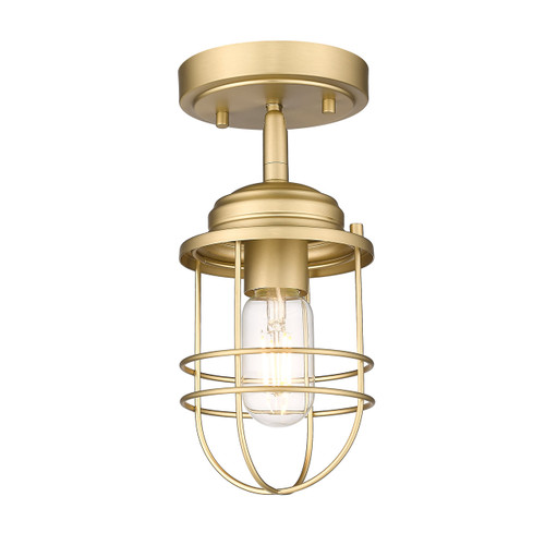 Seaport 1 Light Semi-flush, Champagne Bronze, Matching Metal Cage (9808-SF BCB)