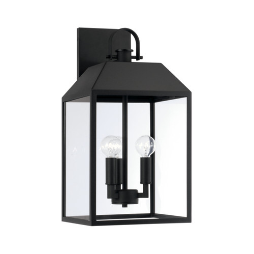 Nelson 9.50"W x 19.25"H 3-Light Outdoor Square Rectangle Wall Lantern in Black with Clear Glass (953432BK)