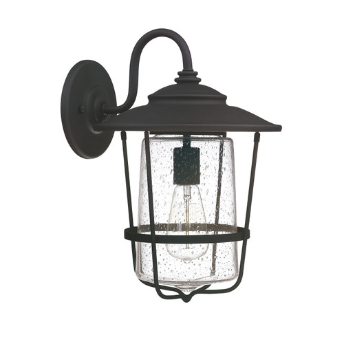 Creekside 11"W x 16"H 1-Light Clear Seeded Glass Outdoor Wall Lantern in Black (9602BK)