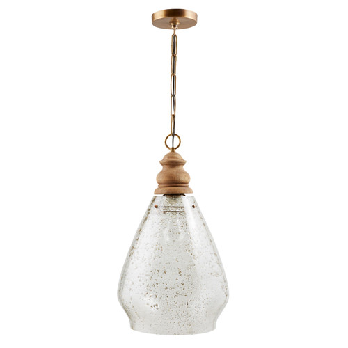 Capital Lighting Jaye 1-Light Pendant (330418LW)