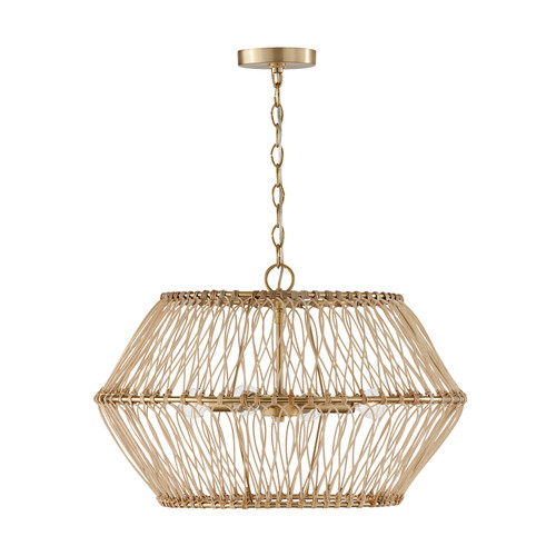 Capital Lighting Wren 4-Light Pendant (344142MA)
