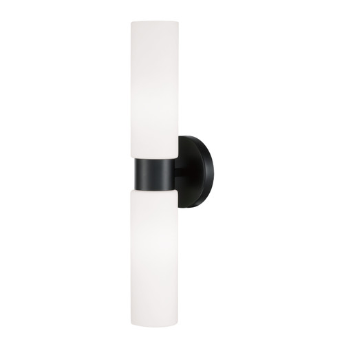 Capital Lighting Theo 2-Light Wall Sconce (652621MB)