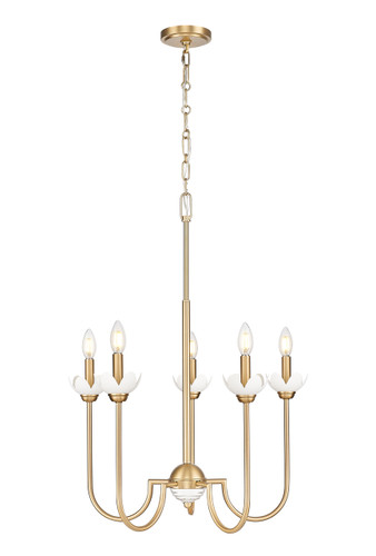 Allistair 5 Light Chandelier in Modern Gold (352-5MGLD)