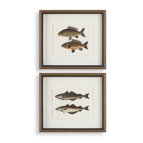 Uttermost The Catch Framed Fish Prints Set of 2 (32448)