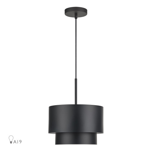 Zolana 1 Light Black Pendant (40059-04)