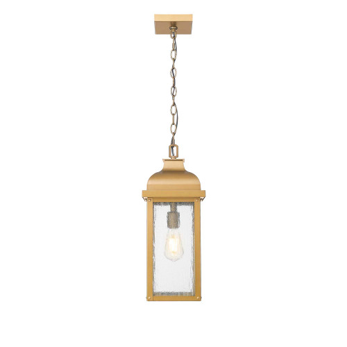 Artcraft Lighting Madrid 1 Light Outdoor Pendant, Weathered Brass (AC8185WB)