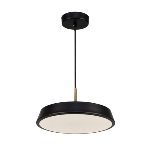 Artcraft Lighting Lexi Collection 1-Light 12" Pendant Black (AC6900BK)