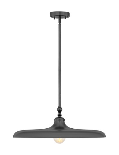 Z-Lite Camden 1 Light Pendant in Modern Bronze (2308P24-MBZ)