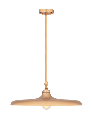 Z-Lite Camden 1 Light Pendant in Rubbed Brass (2308P24-RB)