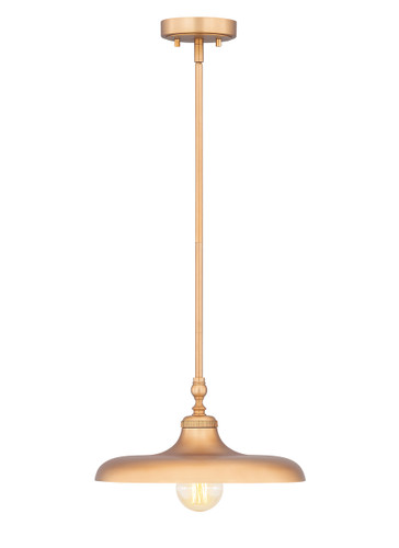 Z-Lite Camden 1 Light Pendant in Rubbed Brass (2308P14-RB)