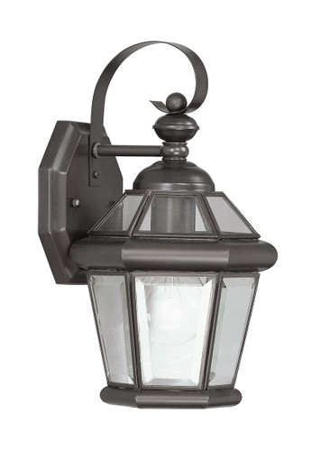 Georgetown 1 Light Bronze Outdoor Wall Lantern (2061-07)