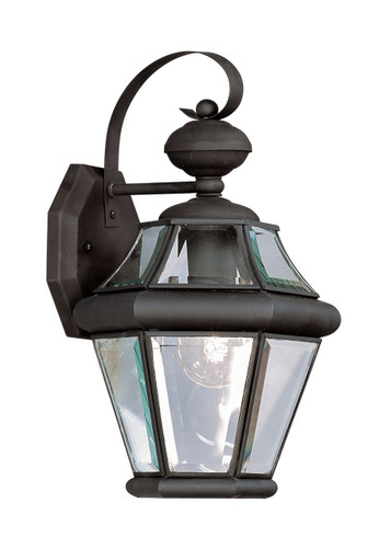 Georgetown 1 Light Black Outdoor Wall Lantern (2161-04)