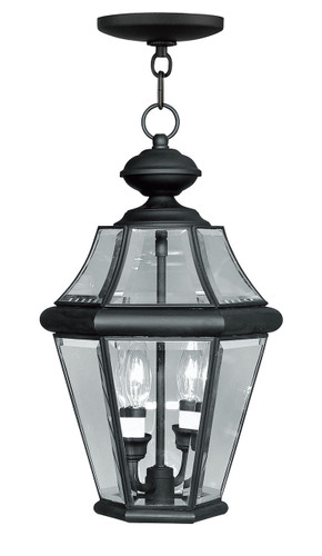 Georgetown 2 Light Black Outdoor Pendant Lantern (2265-04)