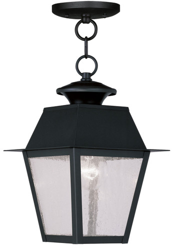 Mansfield 1 Light Black Outdoor Pendant Lantern (2164-04)