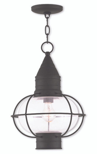 Newburyport 1 Light Black Outdoor Pendant Lantern (26906-04)