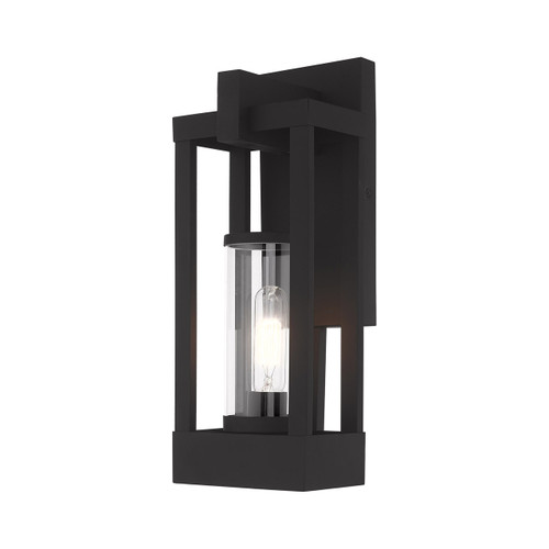 Delancey 1 Light Black Outdoor Wall Lantern (20992-04)