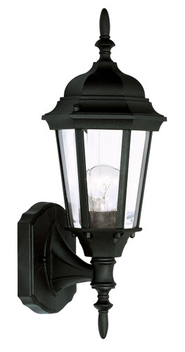 Hamilton Collection 1 Light Black Outdoor Wall Lantern (7551-04)