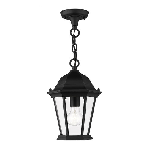 Hamilton Collection 1 Light Black Outdoor Pendant Lantern (7559-04)