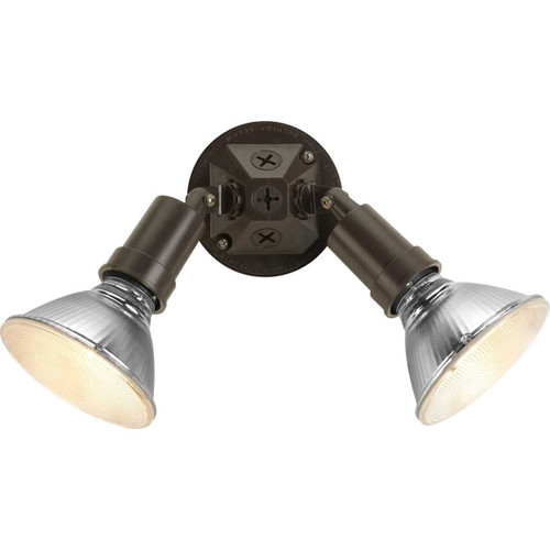 Two-Light Adjustable Swivel Flood Light (P5212-20)