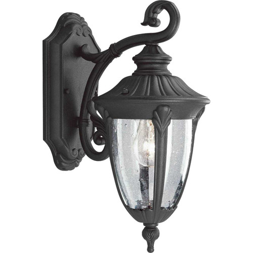 Meridian Collection One-Light Small Wall Lantern (P5820-31)