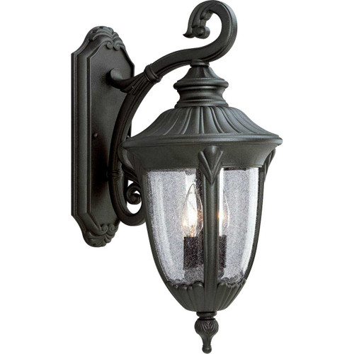 Meridian Collection Two-Light Medium Wall Lantern (P5822-31)