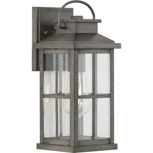 Williamston Collection One-Light Antique Pewter and Clear Glass Transitional Style Medium Outdoor Wall Lantern (P560265-103)