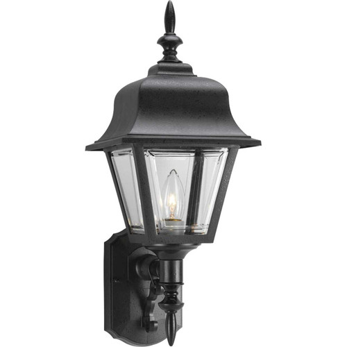 Non-Metallic Incandescent One-Light Wall Lantern (P5656-31)