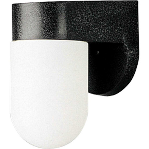 Non-Metallic Incandescent One-Light Outdoor Wall Lantern (P5817-31)