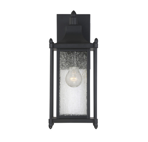 Dunnmore 1-Light Outdoor Wall Lantern in Black (5-3451-BK)