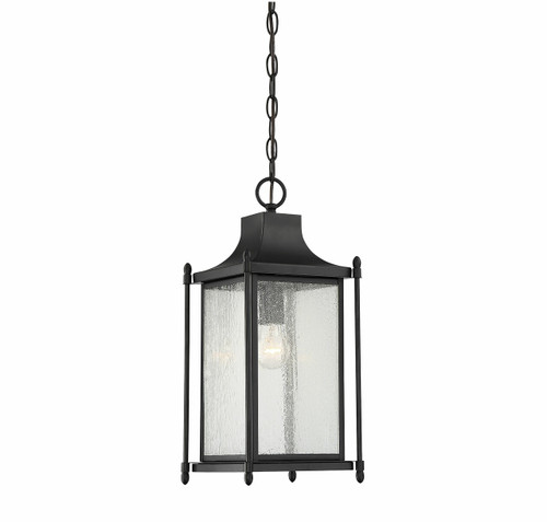 Dunnmore 1-Light Outdoor Hanging Lantern in Black (5-3455-BK)