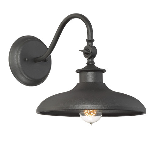 Raleigh 1-Light Outdoor Wall Lantern in Black (5-9584-BK)