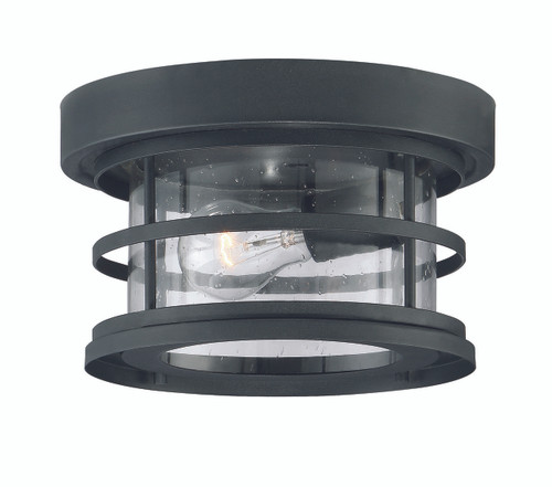 Barrett 1-Light Outdoor Ceiling Light in Black (5-369-10-BK)