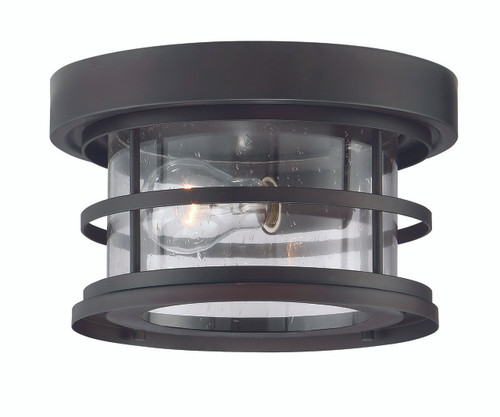 Barrett 1-Light Outdoor Ceiling Light in English Bronze (5-369-10-13)