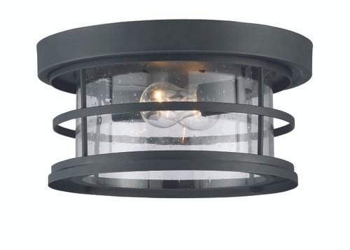 Barrett 2-Light Outdoor Ceiling Light in Black (5-369-13-BK)