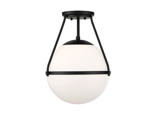 1-Light Ceiling Light in Matte Black (M60054MBK)