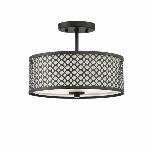 2-Light Ceiling Light in Matte Black (M60016MBK)