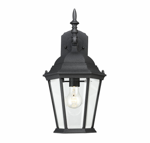Exterior Collections Wall Mount Lantern (5-1820-BK)